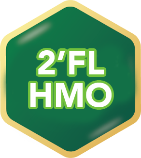 2FL