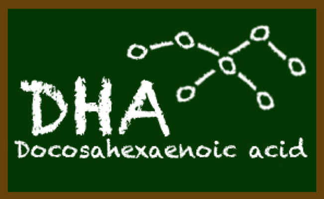 DHA molecular structure