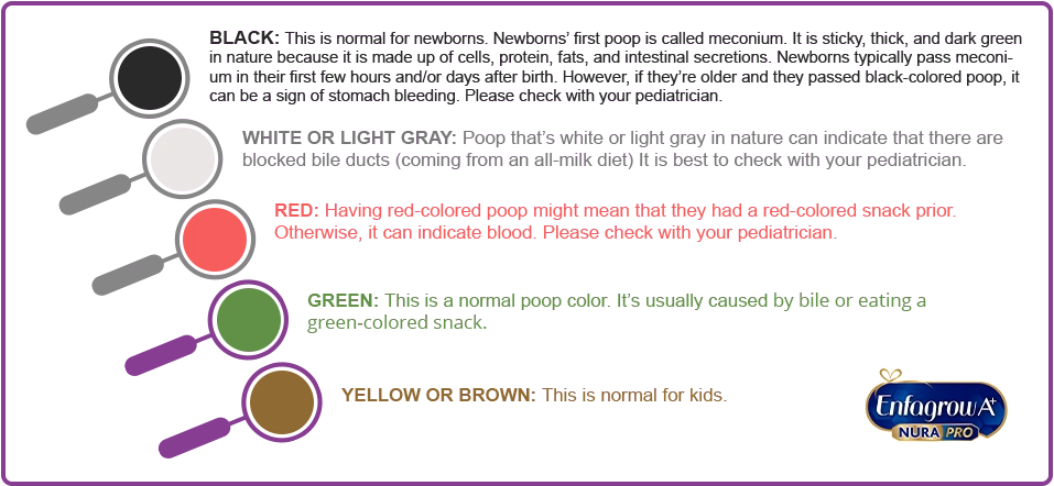 Poop color meaning chart by Enfagrow A+ Philippines