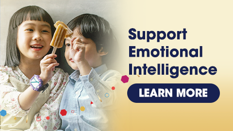 Supporting Emotional Intelligence