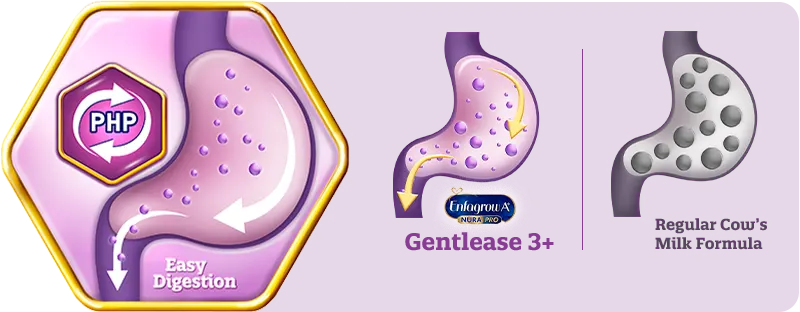 Easy digestion comparison of Gentlease vs regular cow’s milk