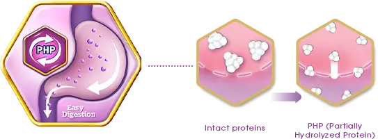 Partially Hydrolyzed Protein (PHP) digestion illustration