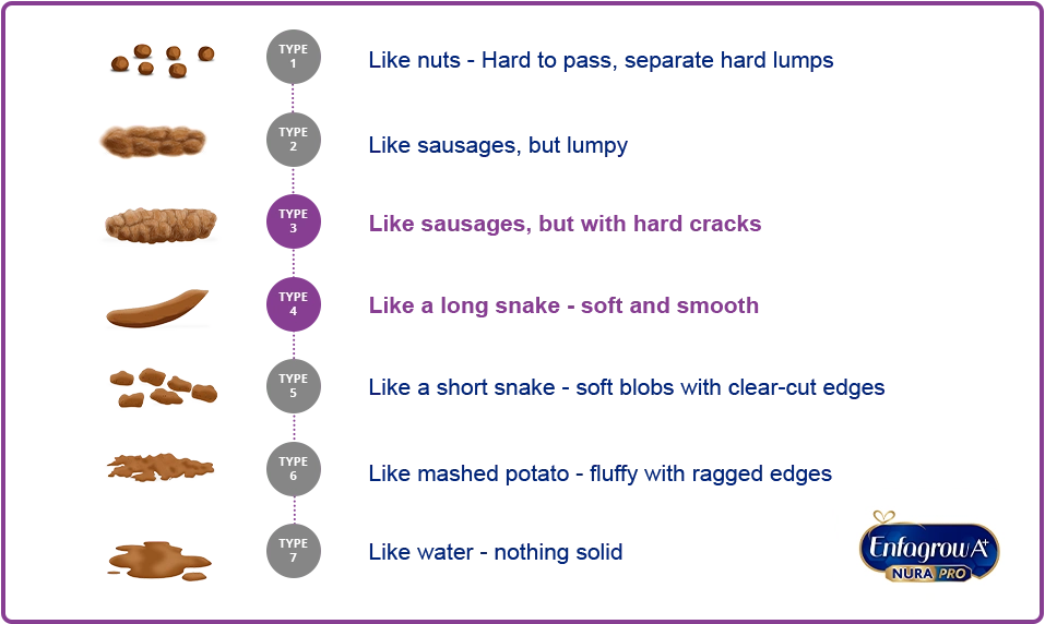 Poop consistency meaning chart by Enfagrow A+ Philippines