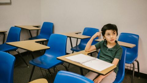 Brain Development for Higher Intelligence in an Evolving World