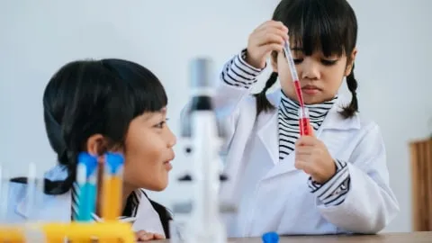 Raising an A+ Child: Harnessing Multiple Intelligence and Beyond