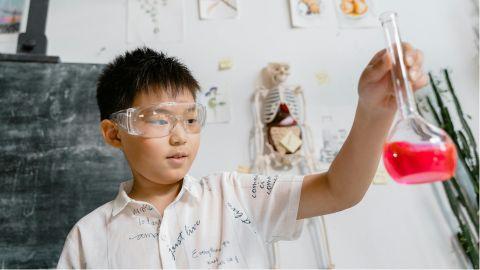 MFGM and DHA: The Ingredients for Higher Intelligence